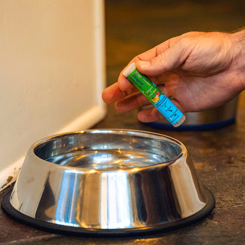 Dogua - High-Protein Hydration Motivator Mix