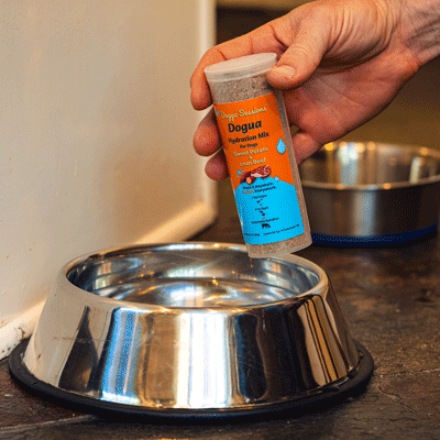 Dogua - High-Protein Hydration Motivator Mix