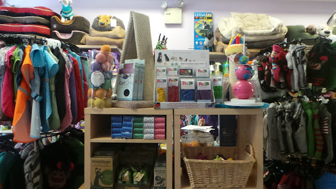 Paws In Paradise NYC