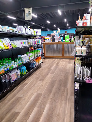 All About Dogs & Cats