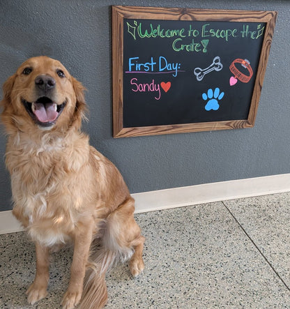 Escape the Crate - Garden City