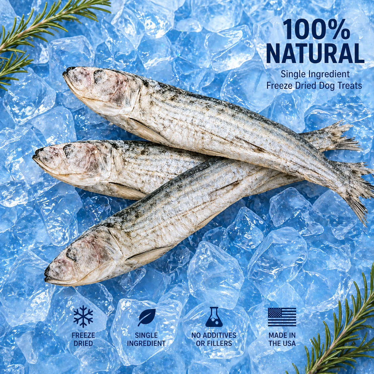 Freeze-Dried Whole Sardine Dog & Cat Treats
