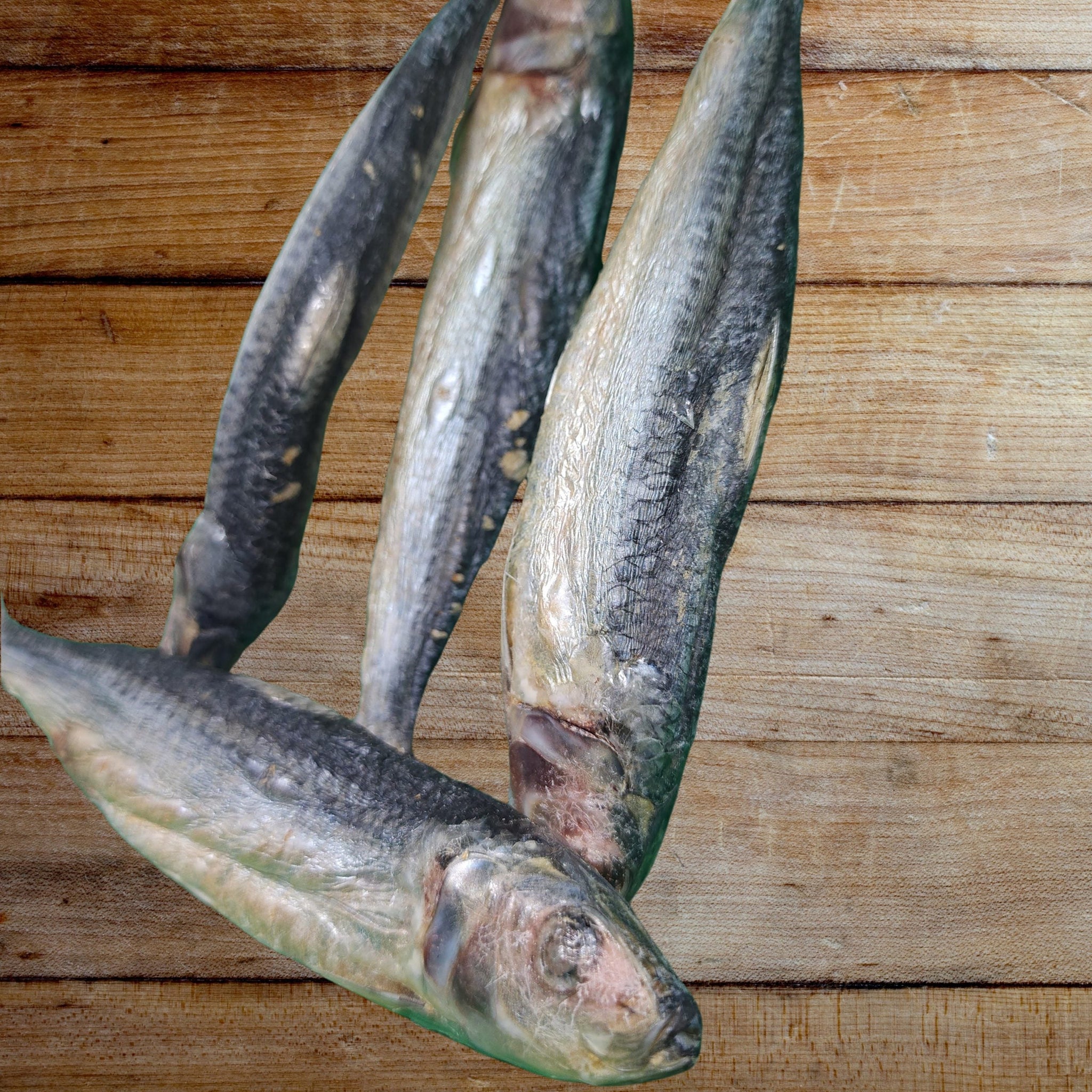 Freeze Dried Sardine