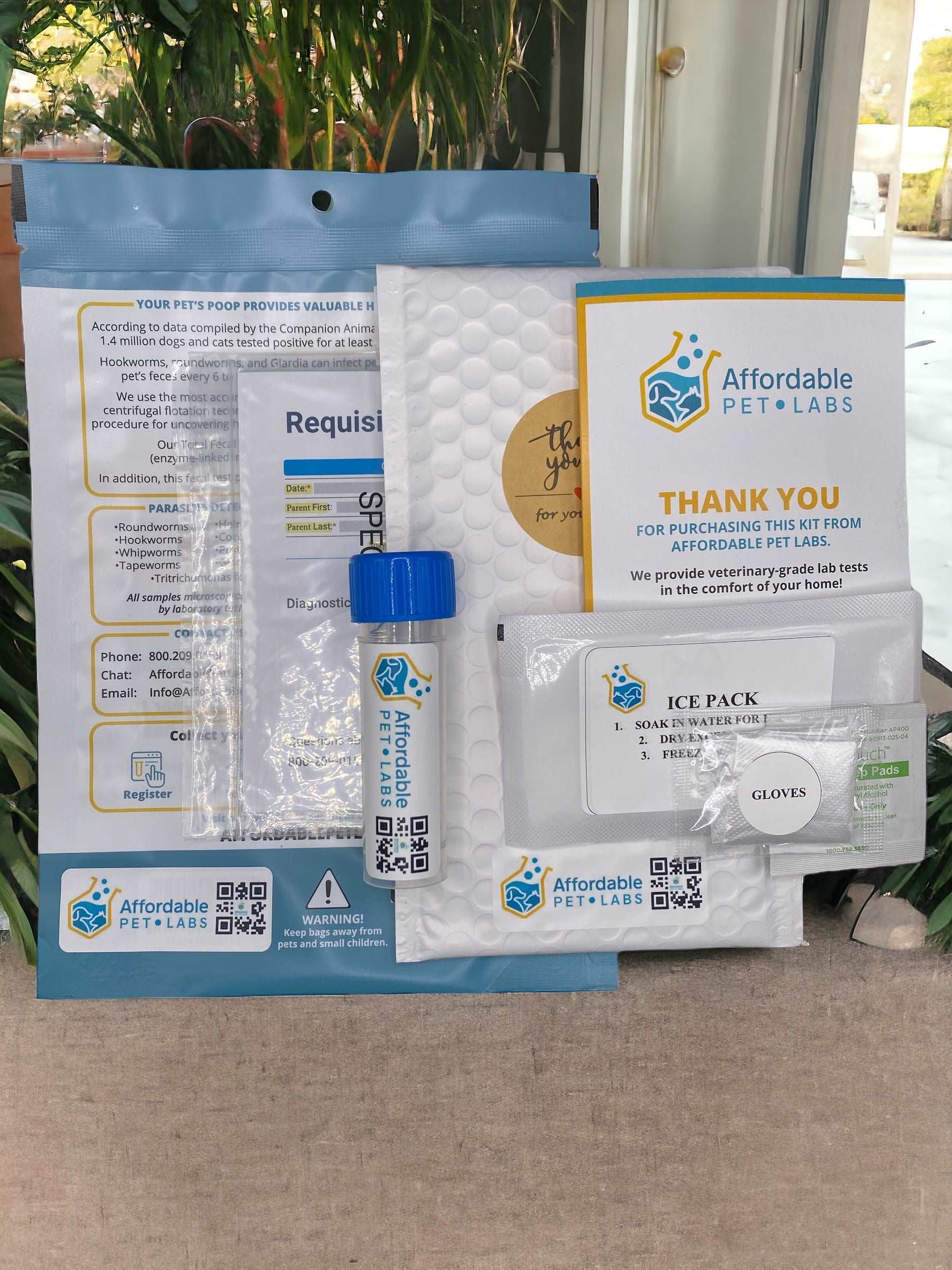 Easy Home Kit: Affordable Pet Labs Fecal Culture Diagnostic Test For Dogs