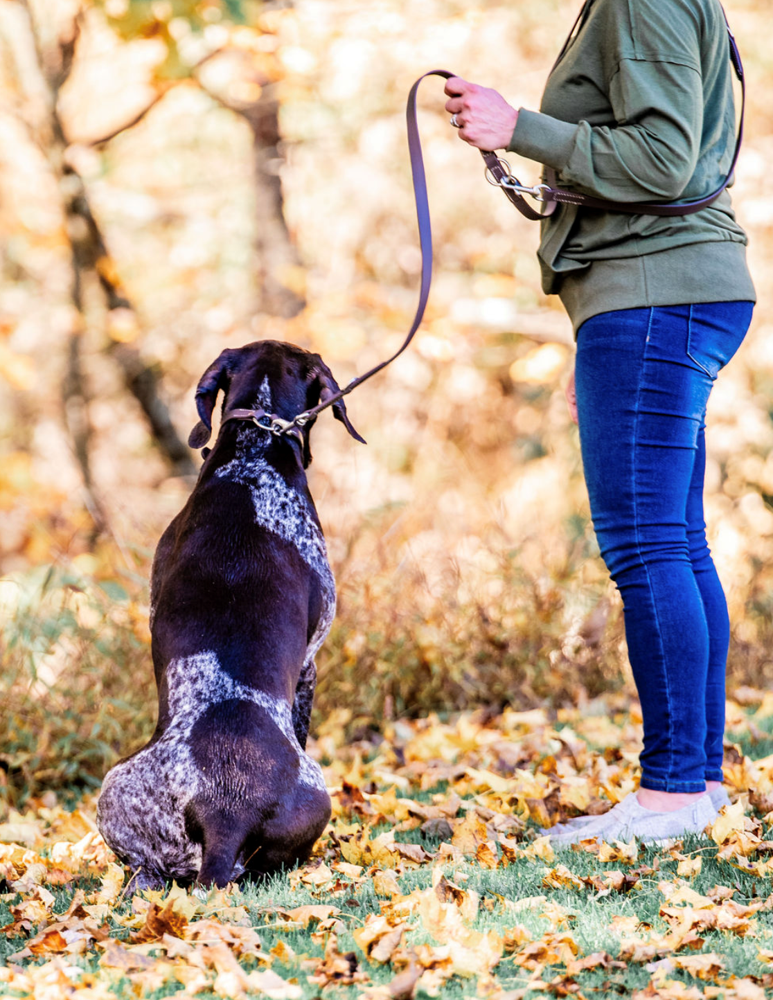 Field Leash