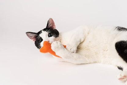 Tropical Catnip Fish 3-Pack Cat Toys