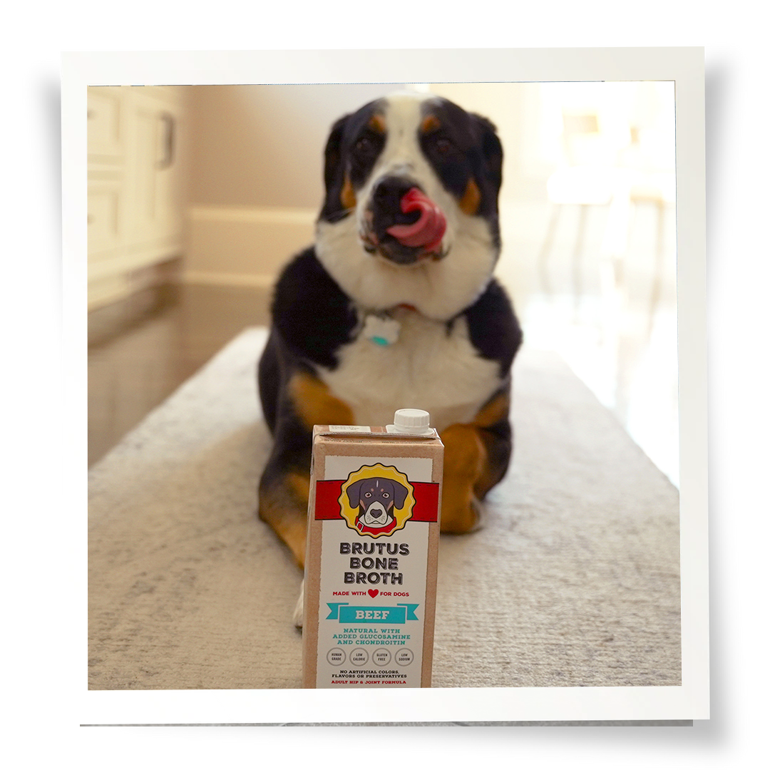 Brutus Bone Broth - Beef