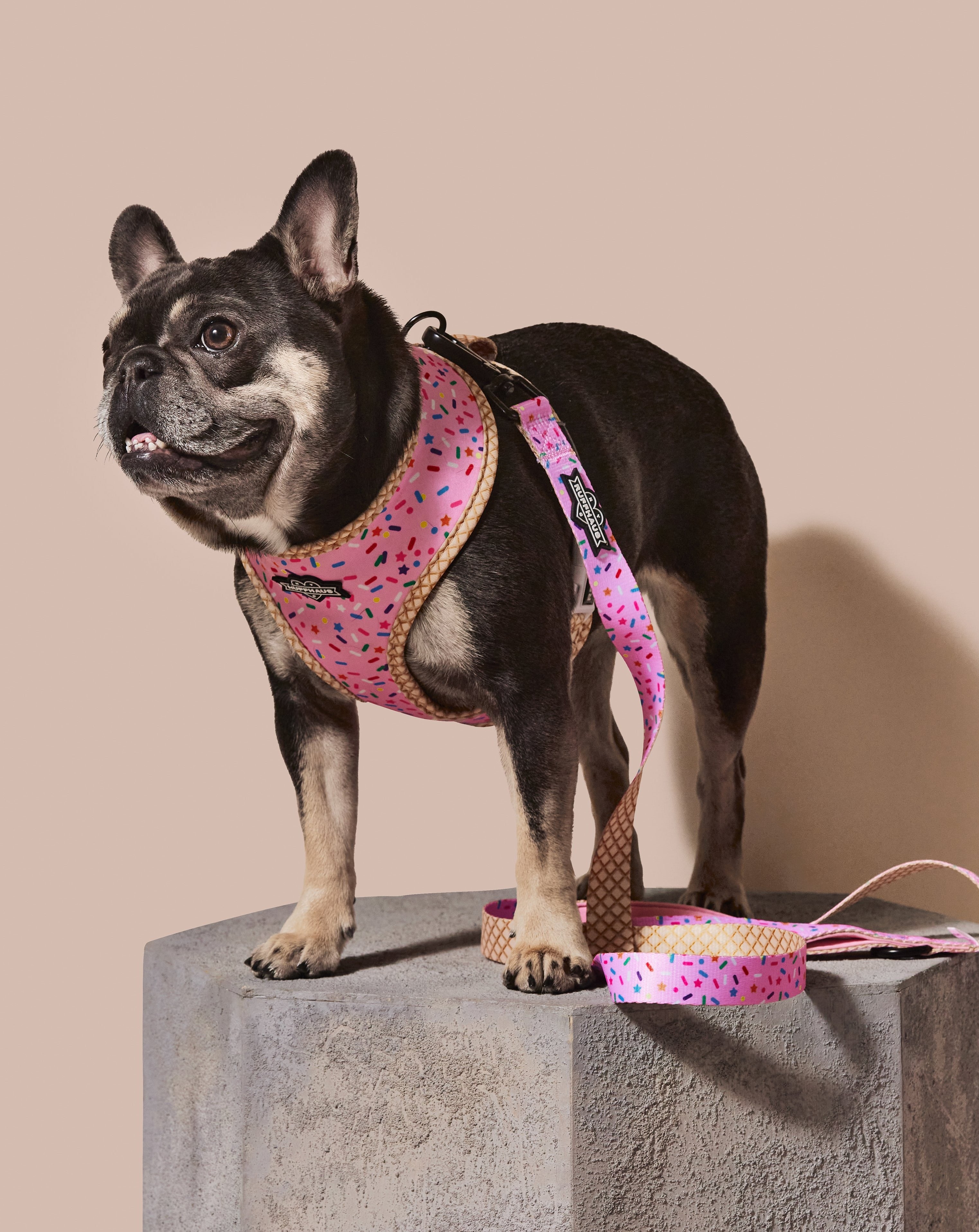 Sprinkle Me Pink Reversible Harness