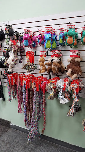 The Healthy Pet House