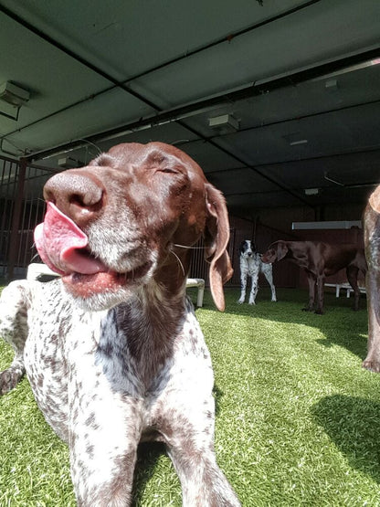 Escape the Crate - Garden City