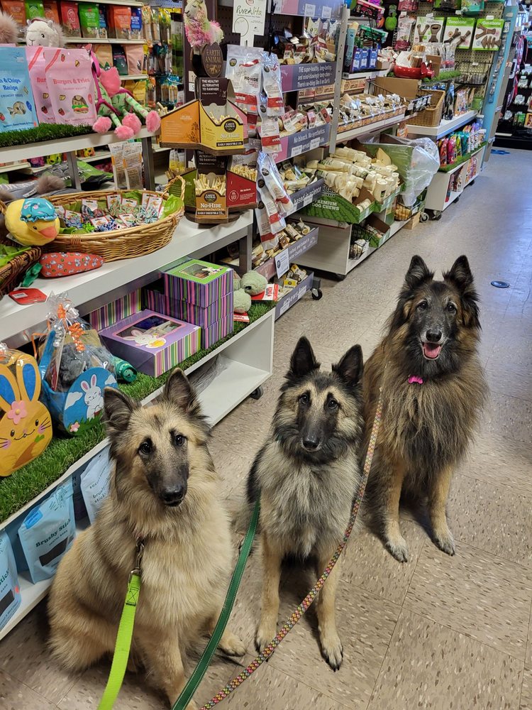 Pawsitively Pure All Natural Pet Food