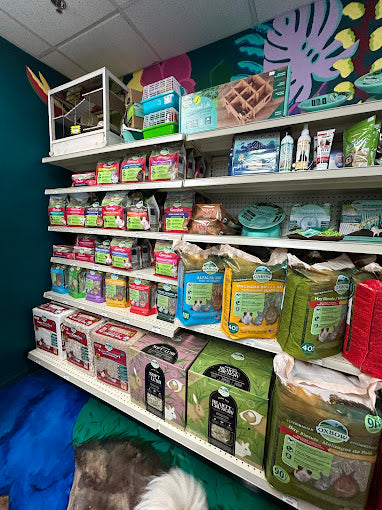 Paws Inn Pet Essentials