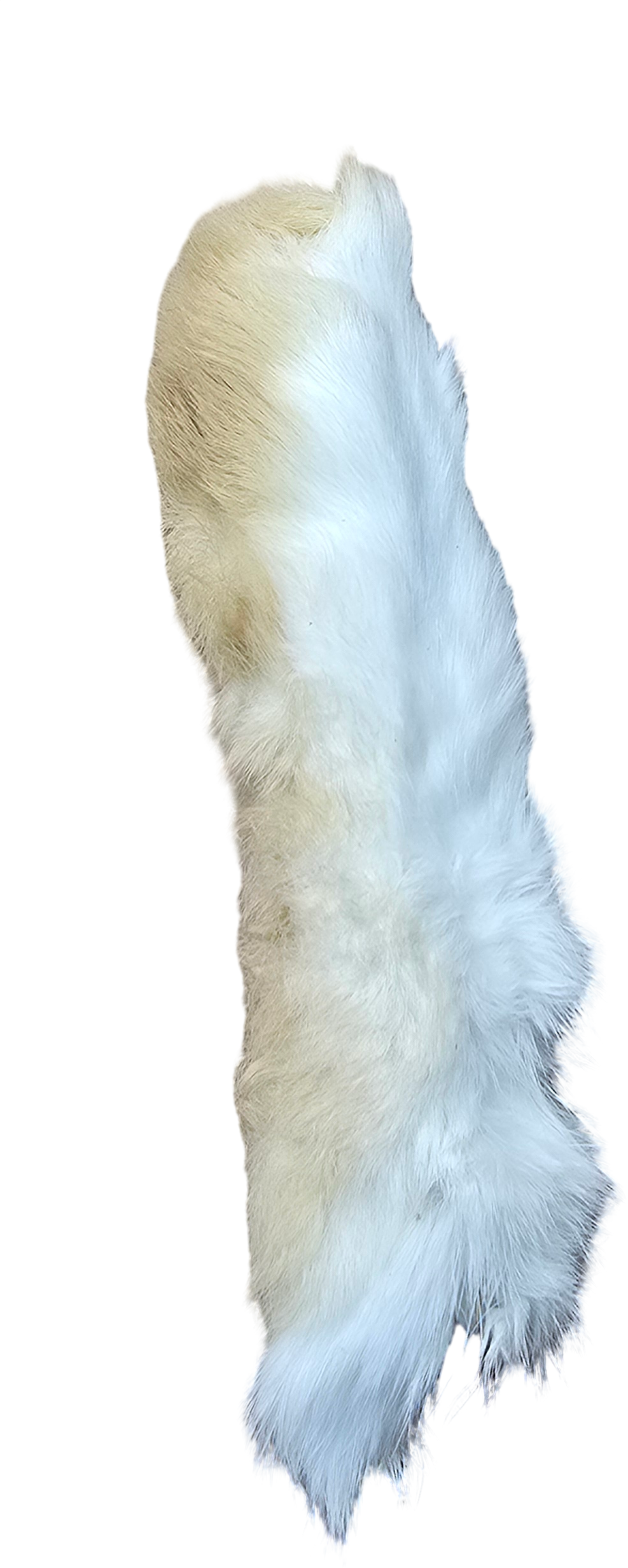 Rabbit Feet (Back)