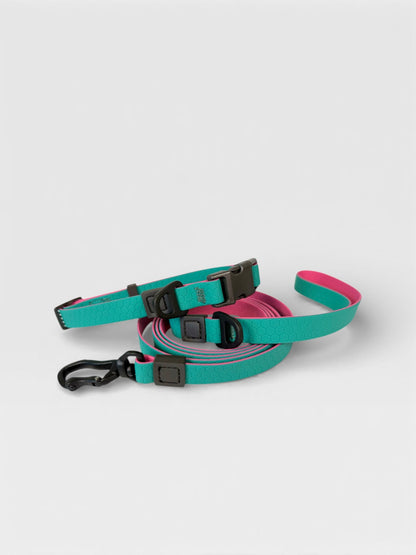 Hexagon Collar - Waterproof Collar For Small Dogs