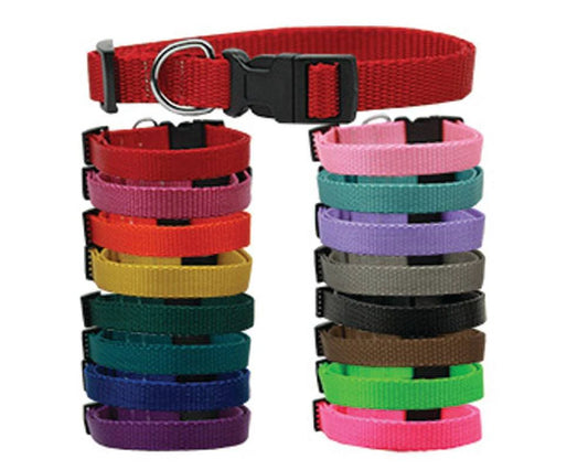 Pet Dog & Cat Nylon Collar Plain