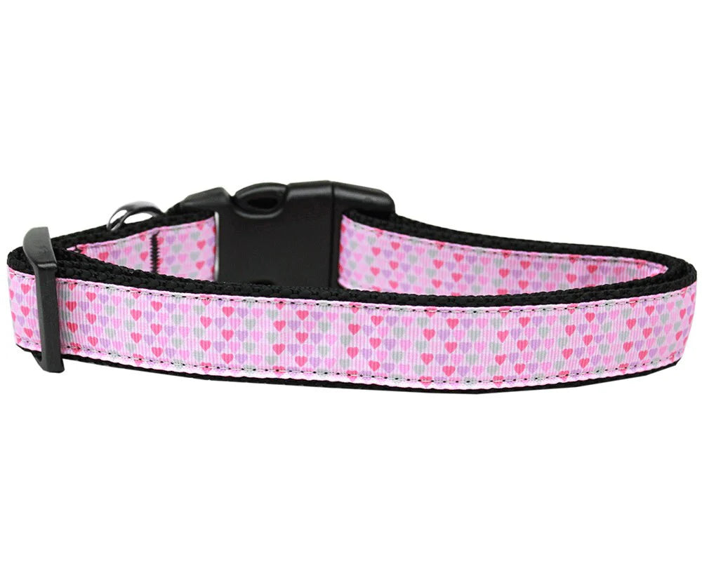 Pet Dog & Cat Nylon Collar or Leash, 