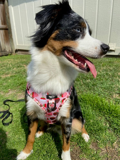 ChocoBerry Bliss Walking Set