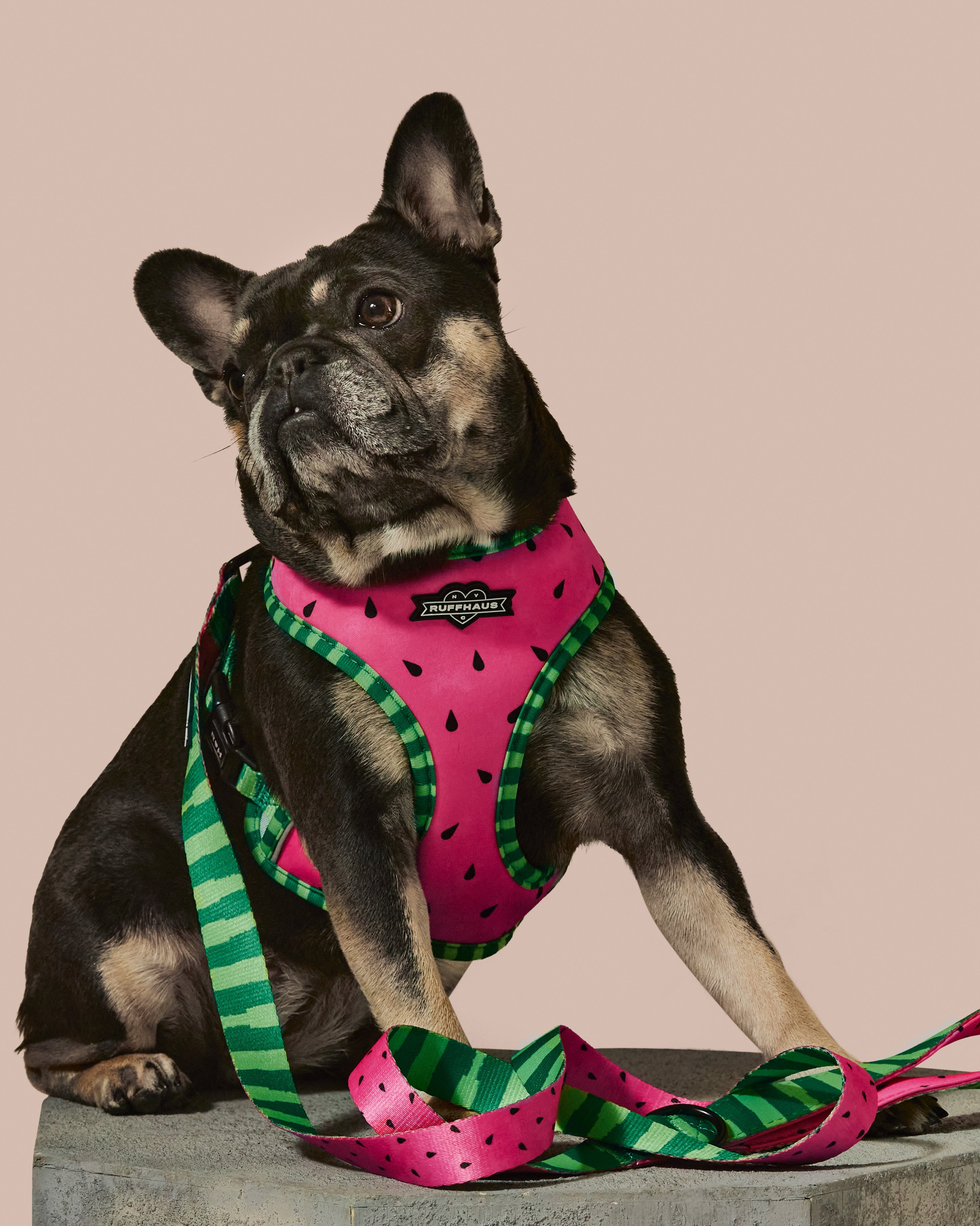 What-A-Melon Reversible Harness