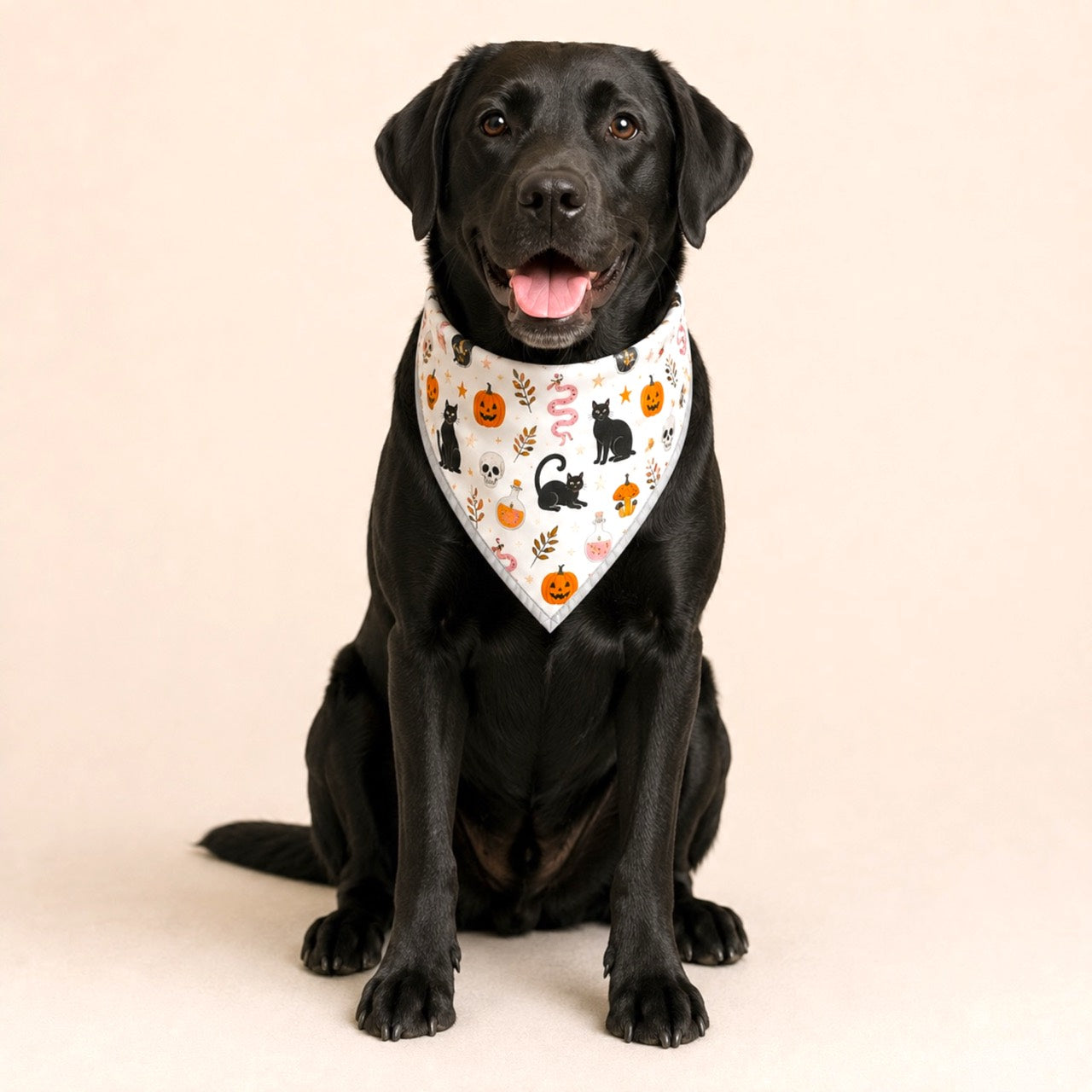 Adjustable Gold Chain Dog Bandana - Black Cat Potions