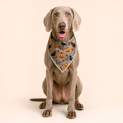 Adjustable Gold Chain Dog Bandana - Raven Harvest