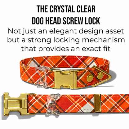 Classic Collar - Amber Plaid - Gold Hardware
