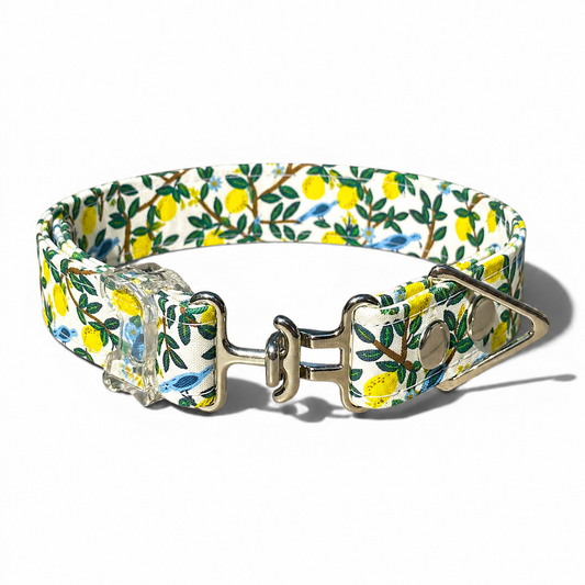 Classic Collar - Lemon Grove - Silver Hardware