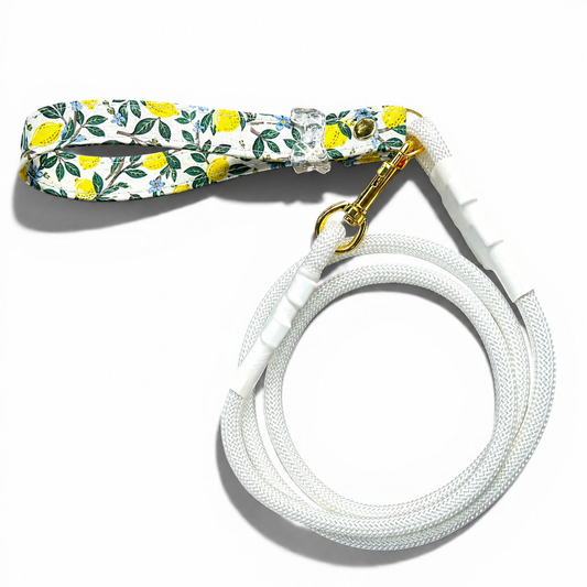 Classic Leash - Lemon Grove - Gold Hardware