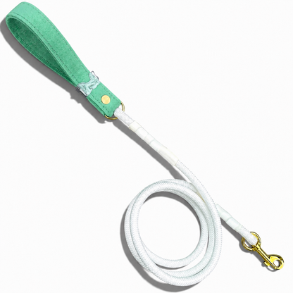 Luxe Collection Dog Leash - Mint