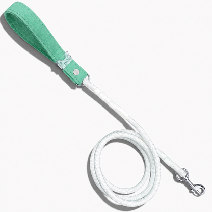 Luxe Collection Dog Leash - Mint - hundhaus.dog