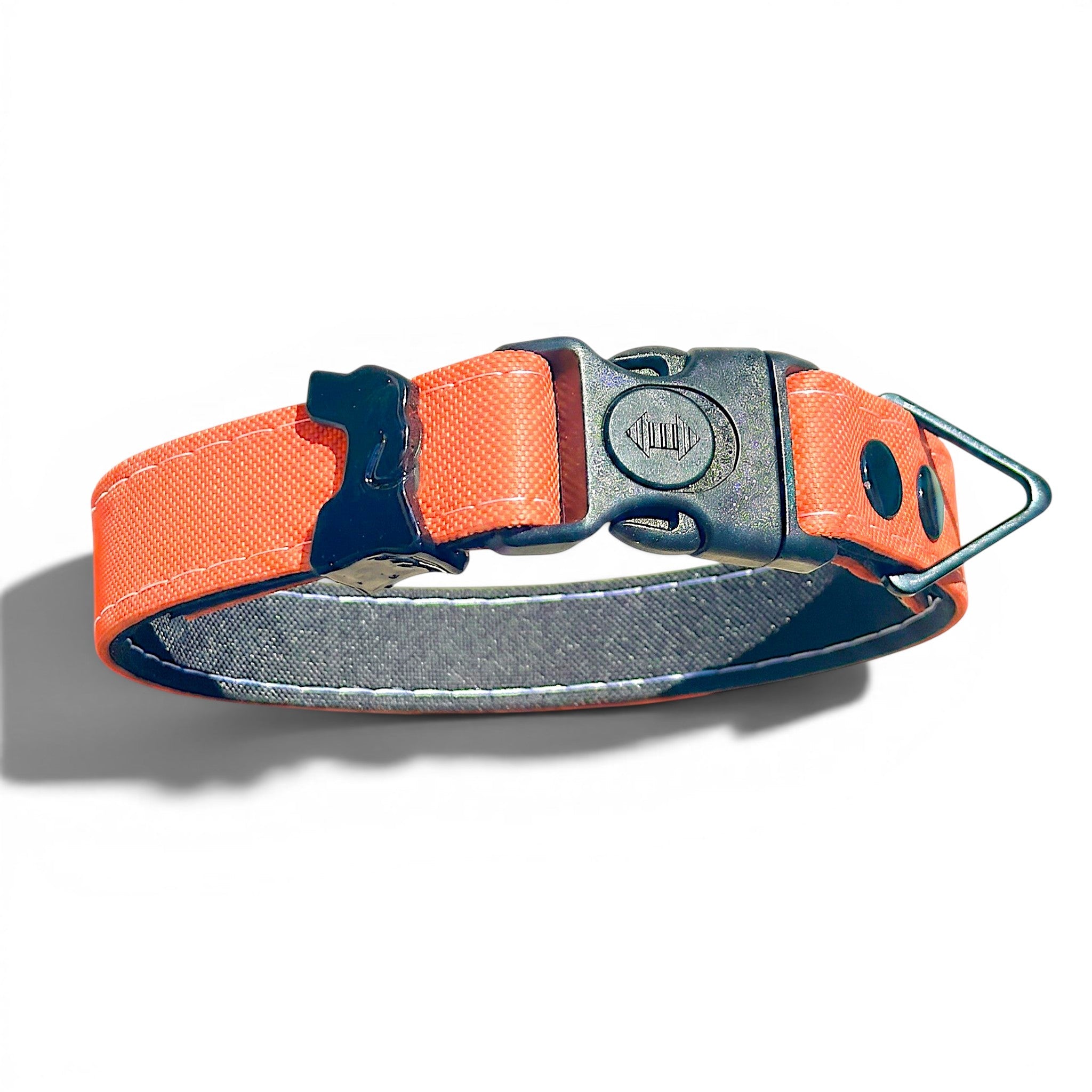 Rugged Waterproof Dog Collar - Coral
