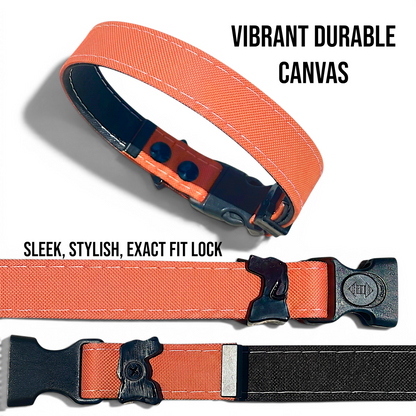 Rugged Waterproof Dog Collar - Coral