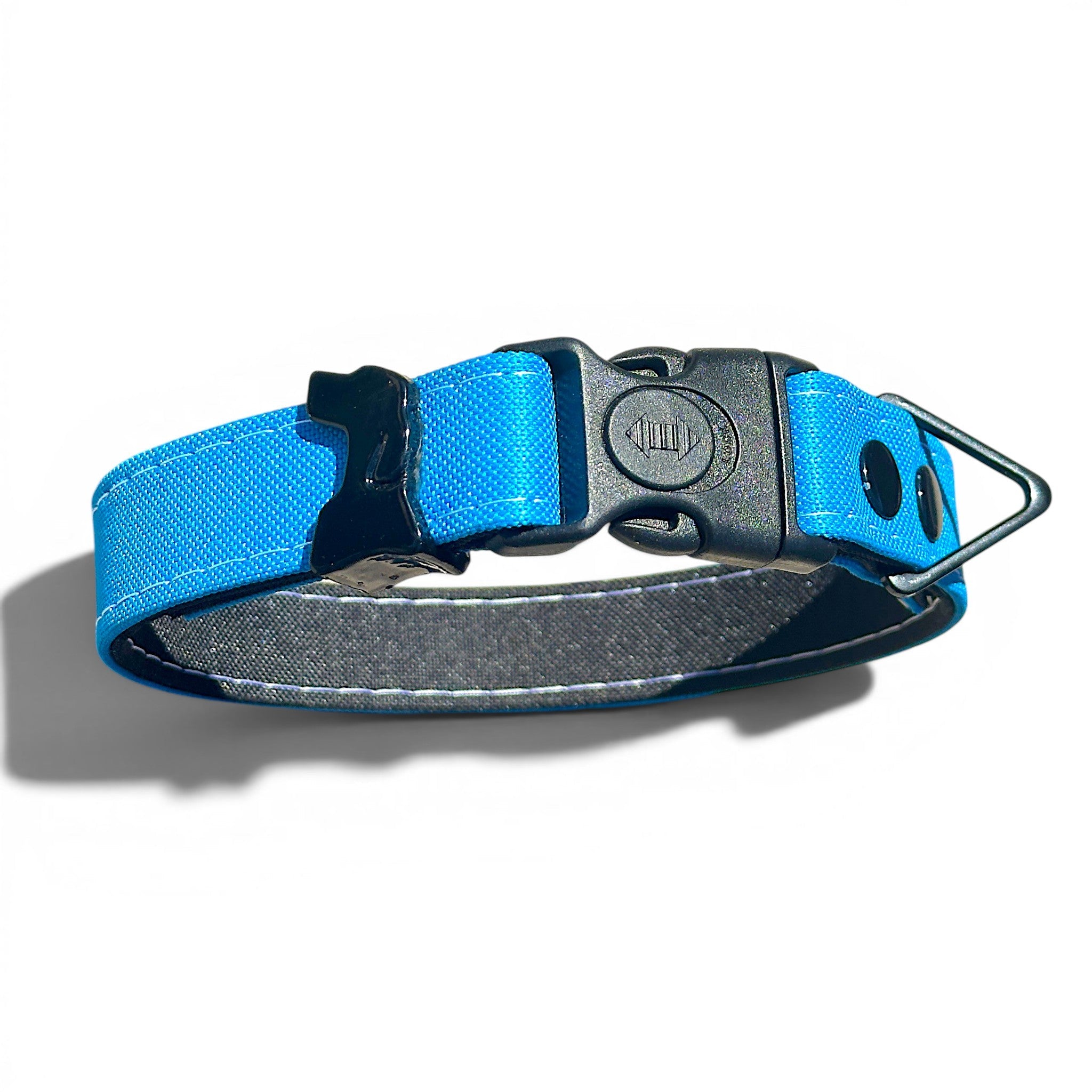 Rugged Waterproof Dog Collar - Turqouise