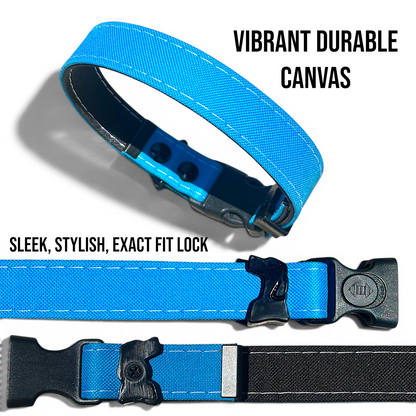Rugged Waterproof Dog Collar - Turqouise