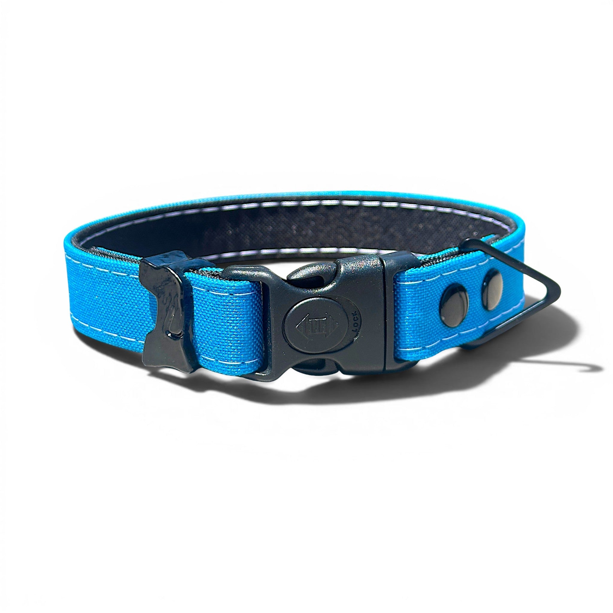 Rugged Waterproof Dog Collar - Turqouise