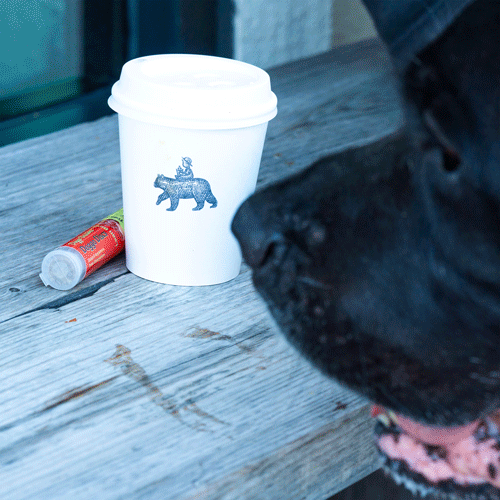 Doggo Discs - The Perfect Dog Training Treat