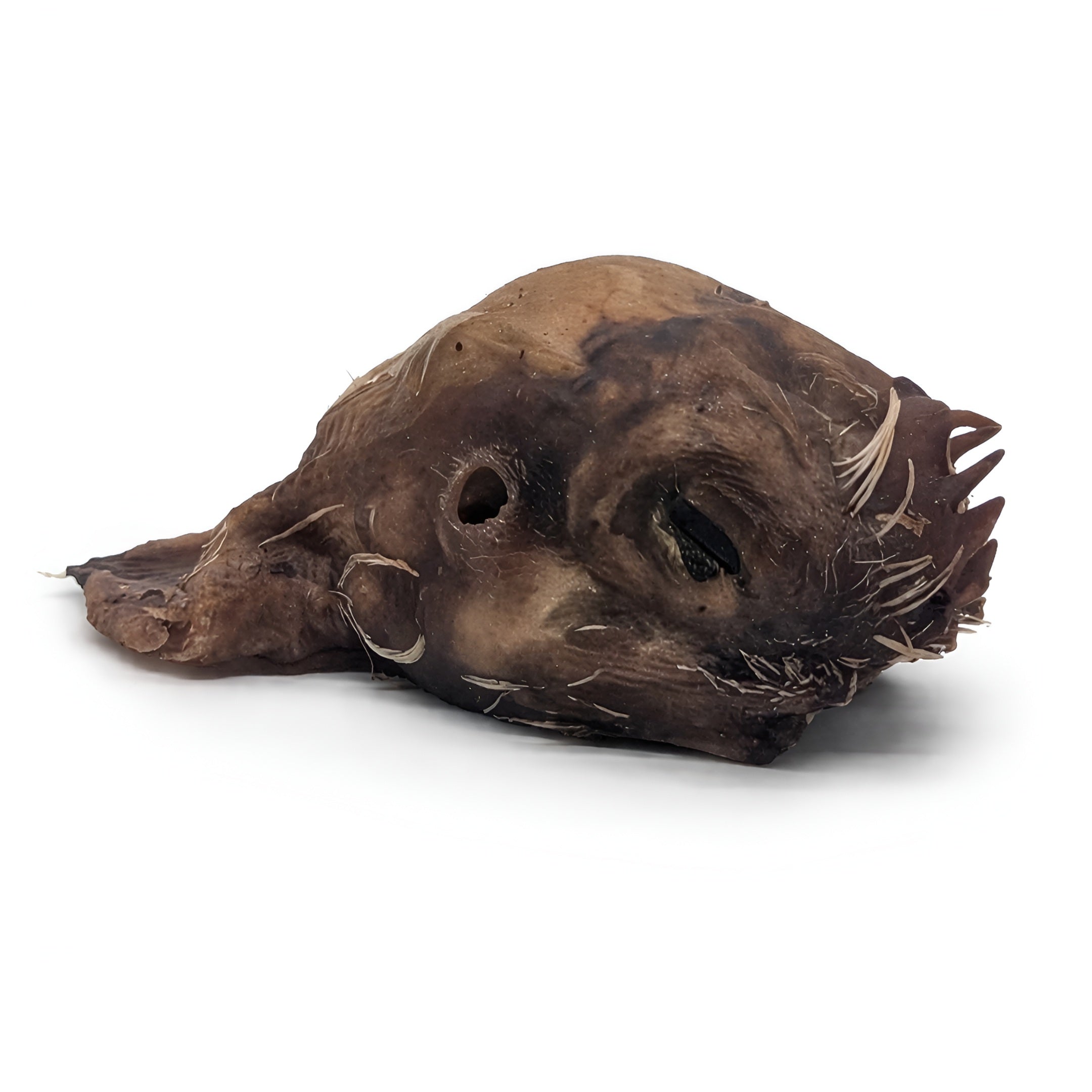 Smoked Chicken Heads for Dogs (30-Pack) – Crunchy Natural Whole Prey Treat
