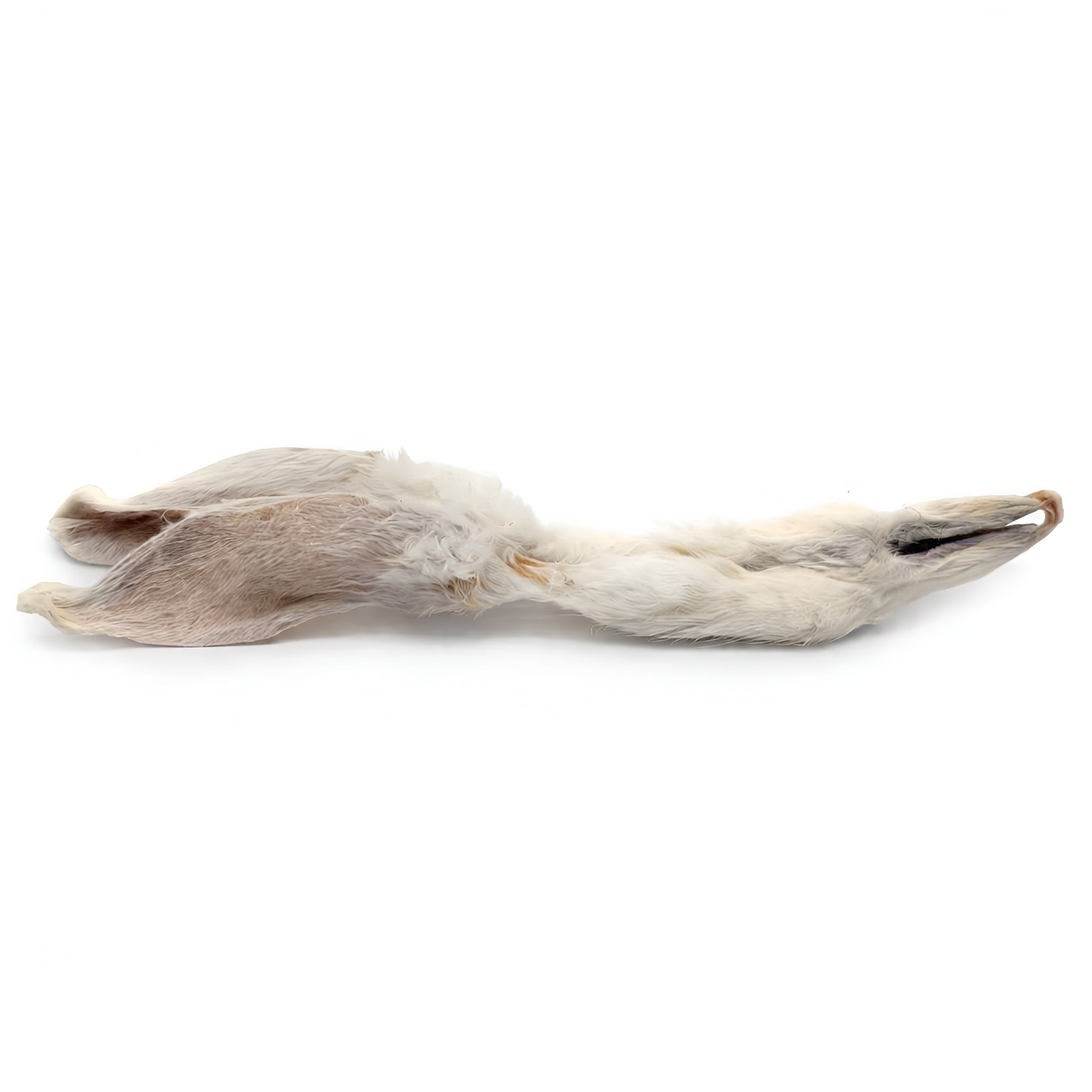 Rabbit Ears with Fur Dog Chews – Natural Novel Protein (25-pack)