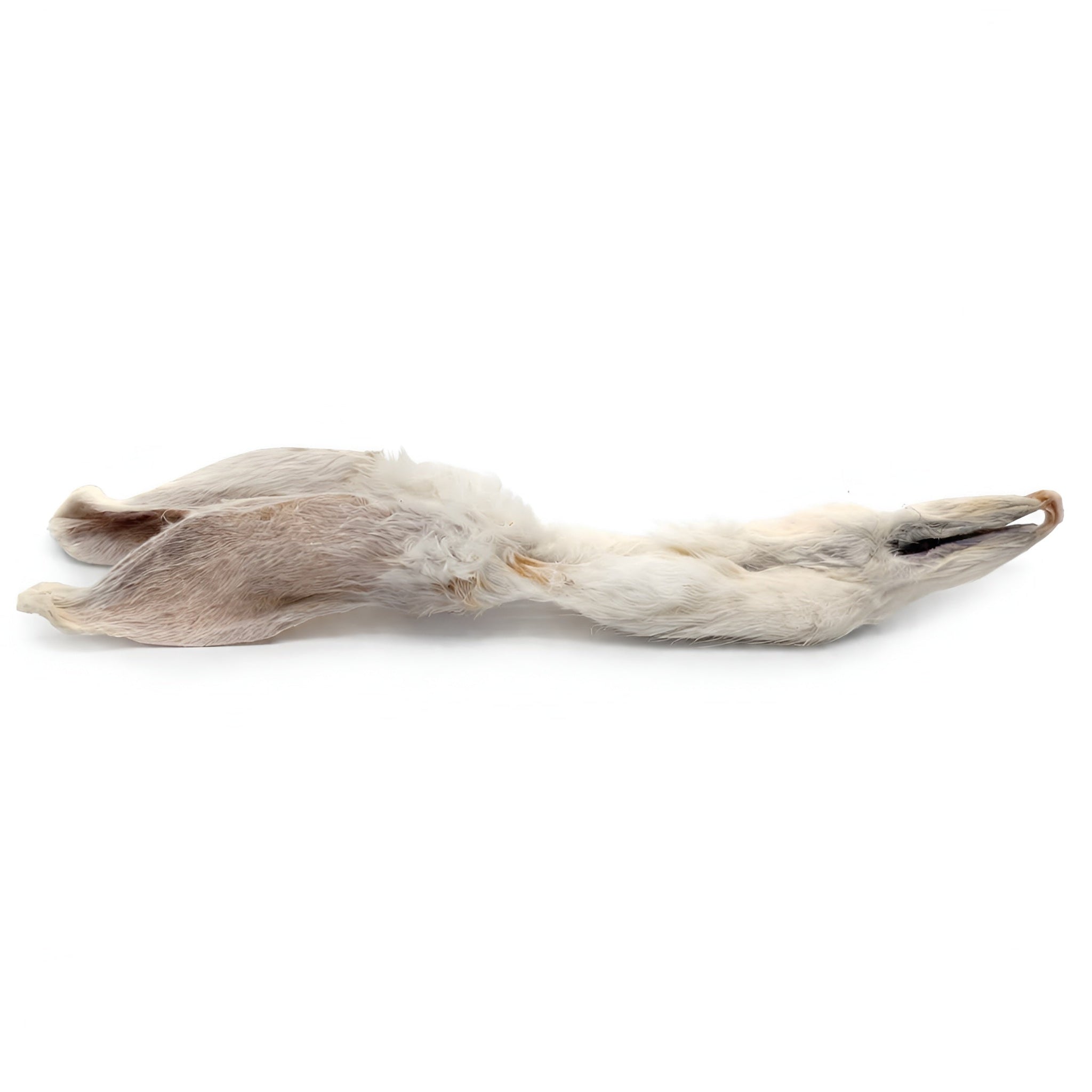 Rabbit Ears with Fur Dog Chews – Natural Novel Protein (25-pack)