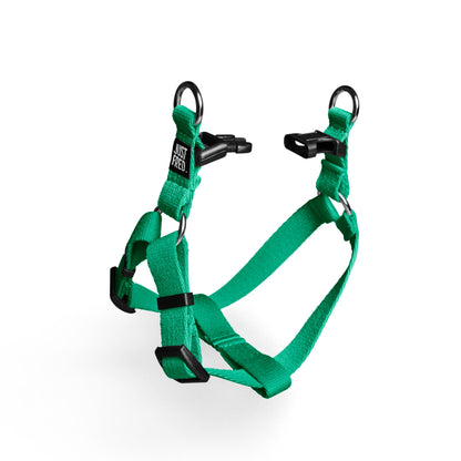 Step In Harness