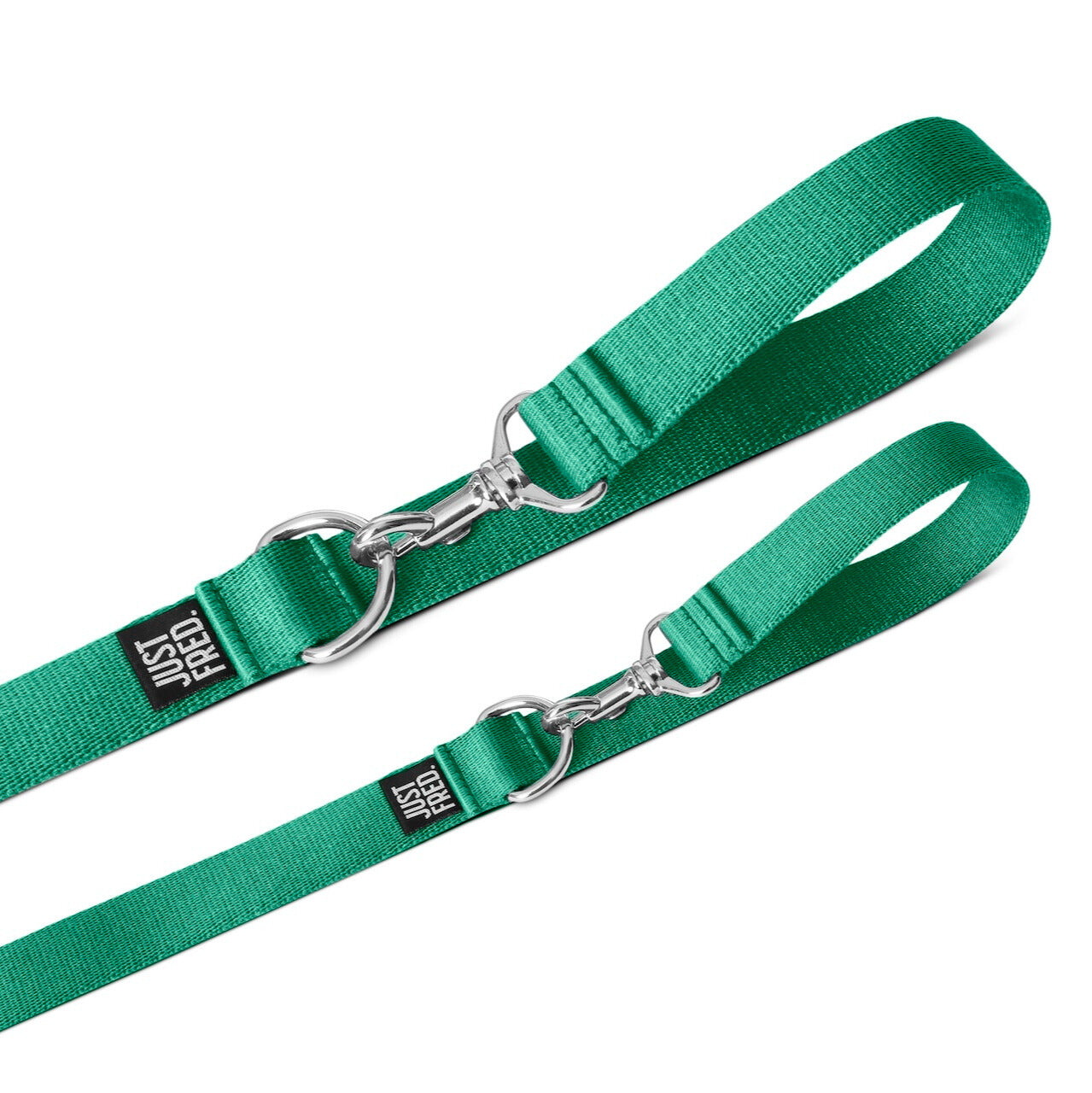 Dog Leash