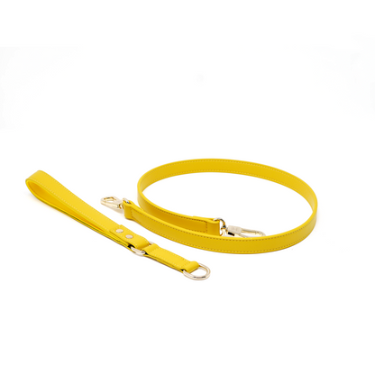 Classic Leash - Bumblebee Yellow