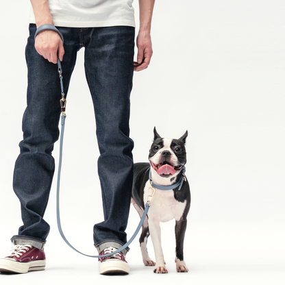 Classic Leash - Stone Blue