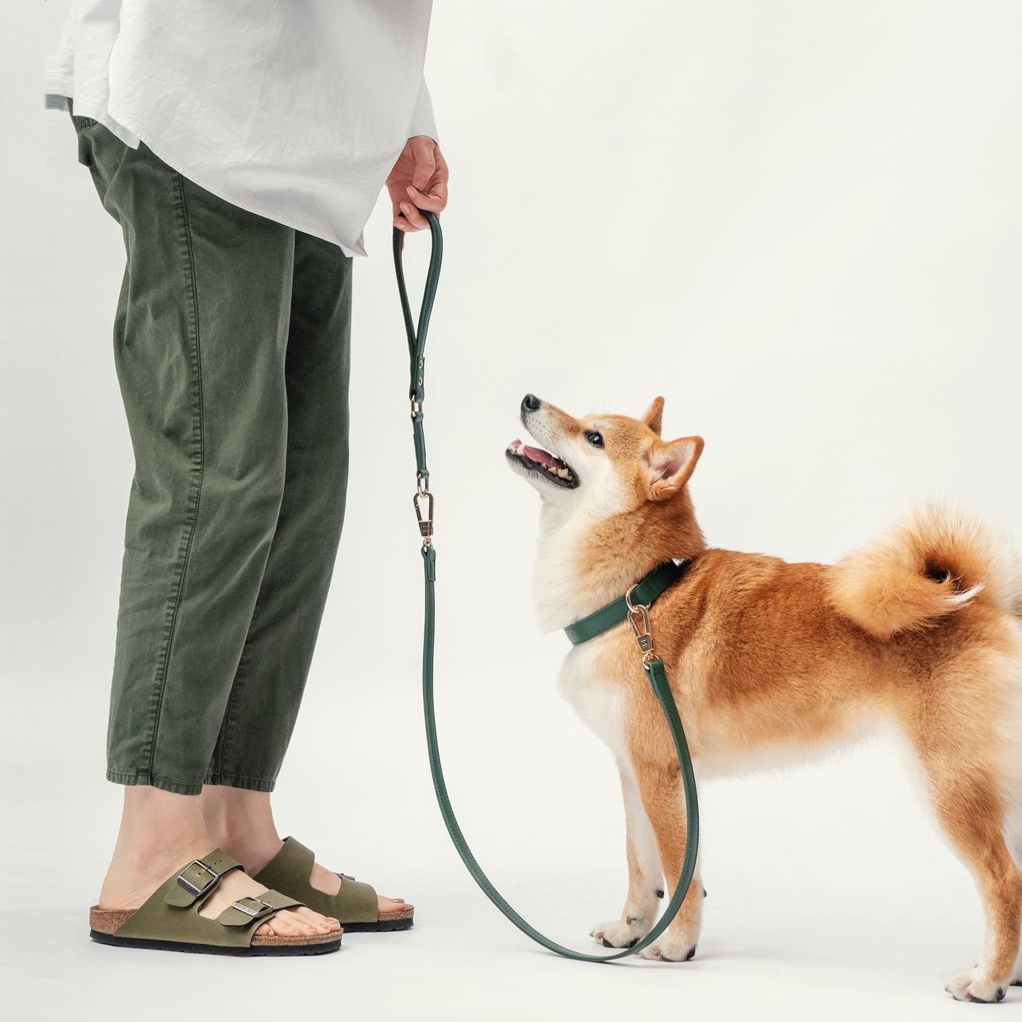 Classic Leash - Forest Green