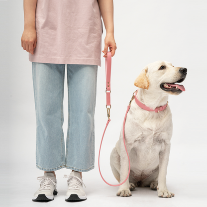 Classic Leash - Baby Pink