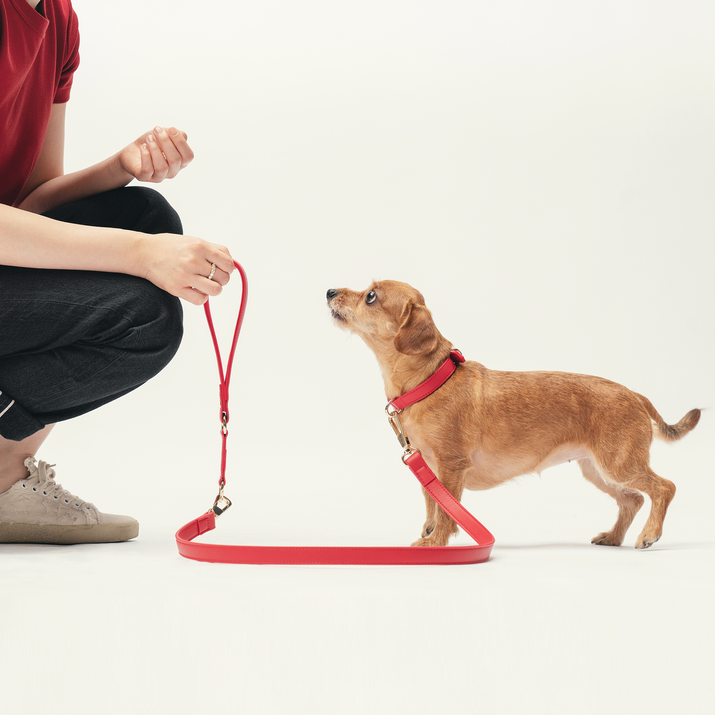 Classic Leash - Flame Red