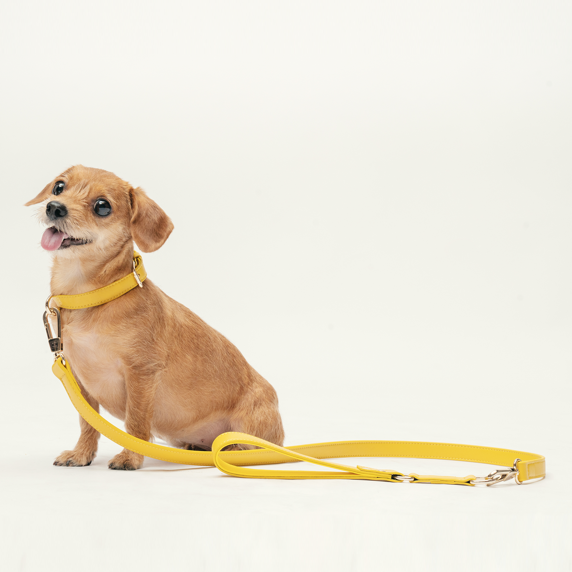 Classic Leash - Bumblebee Yellow