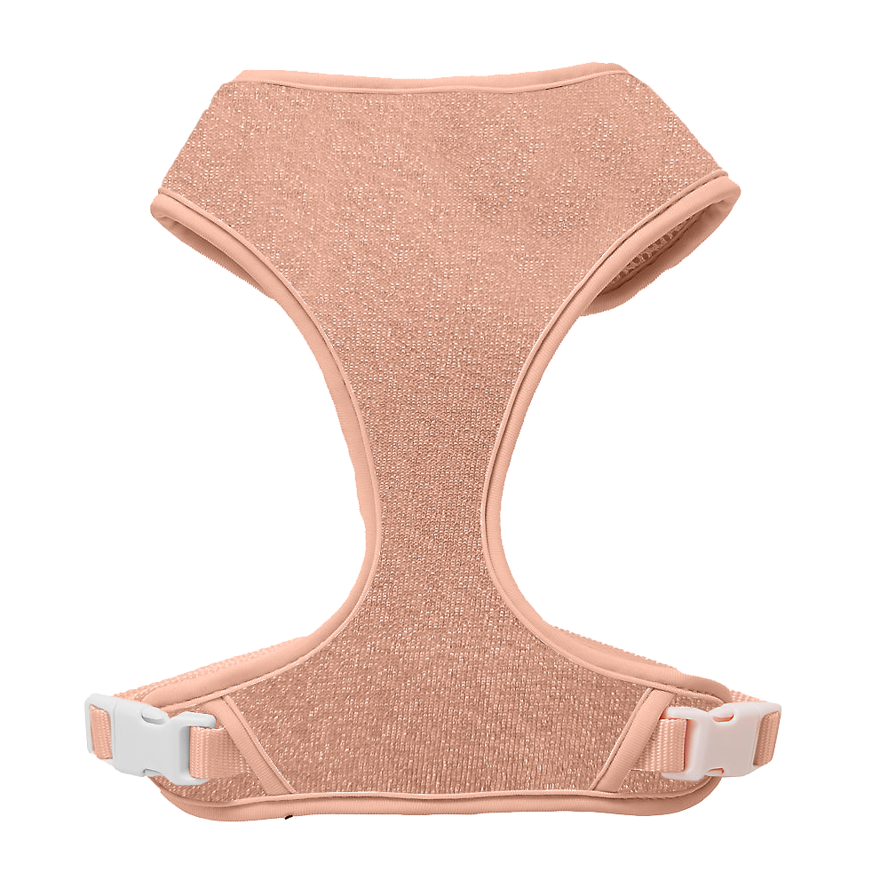 Ballet Blush Sparkle Harness