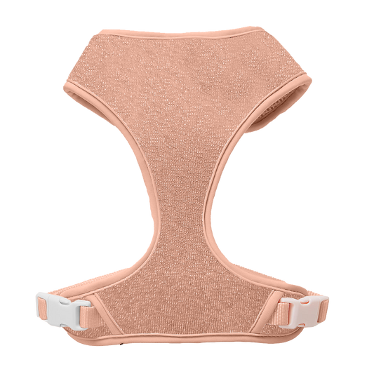 Ballet Blush Sparkle Harness
