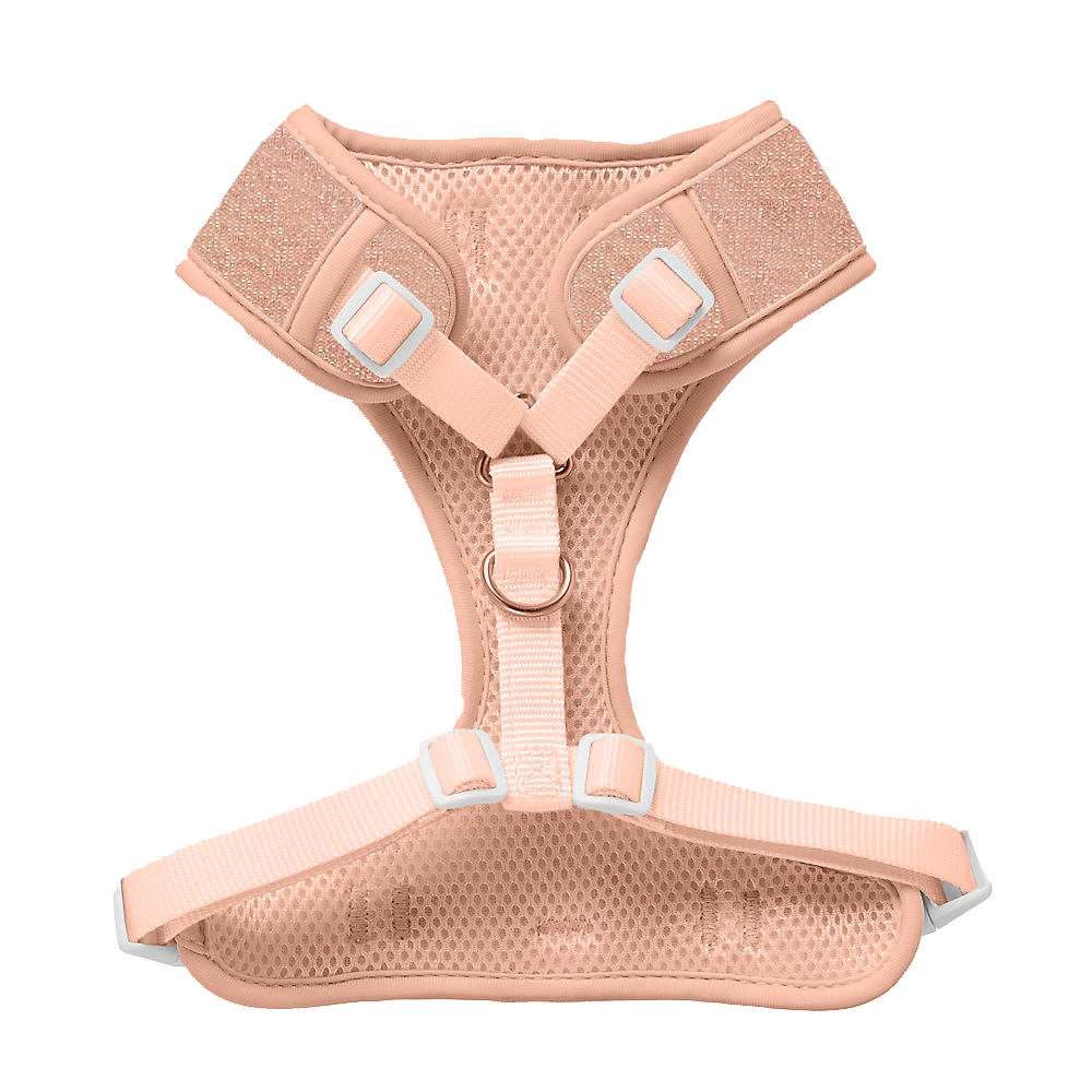 Ballet Blush Sparkle Harness
