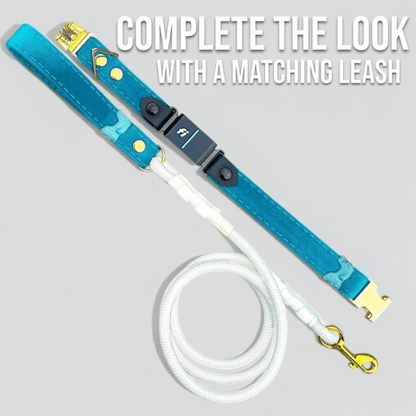 Luxe Velvet Fi-Compatible Dog Collar